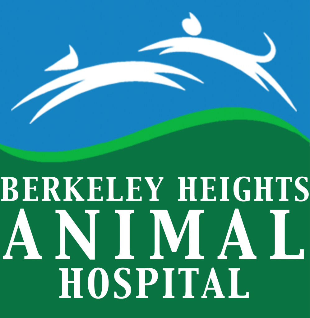 Berkeley Heights