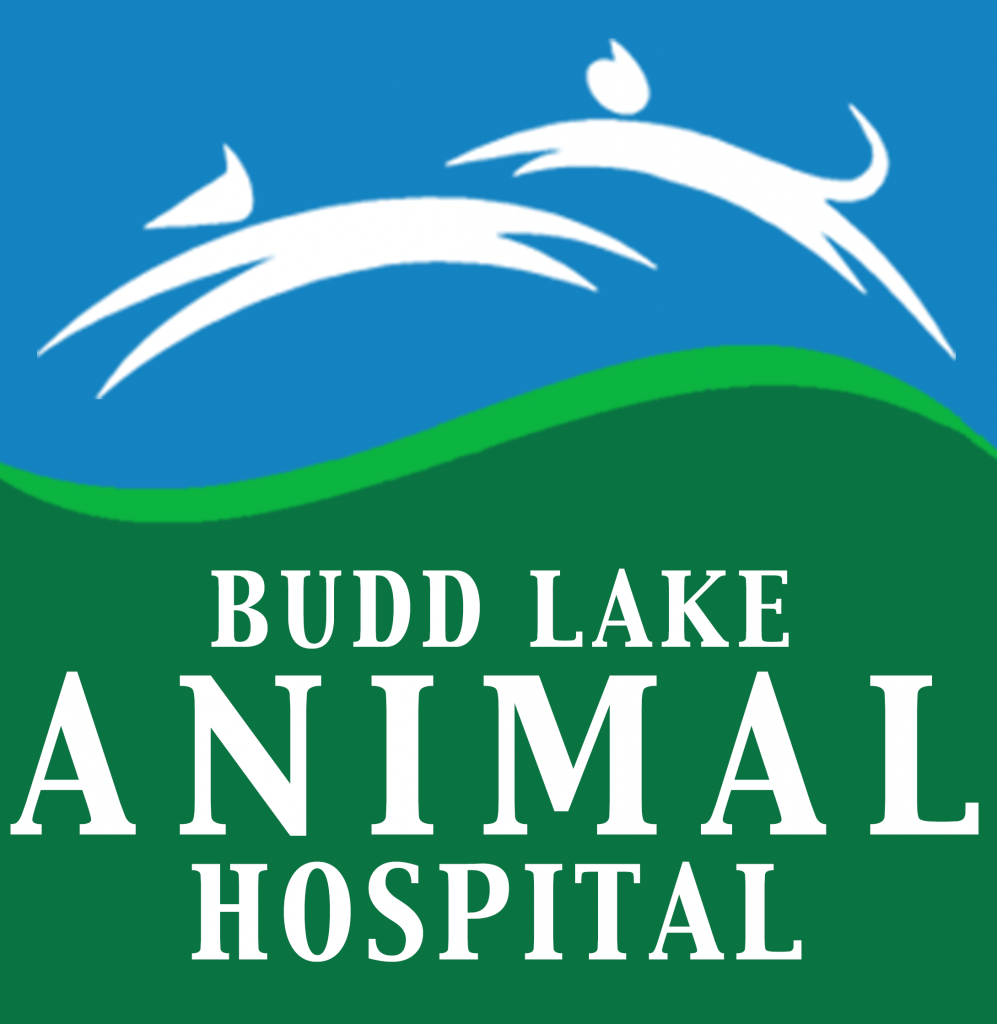 Budd Lake logo