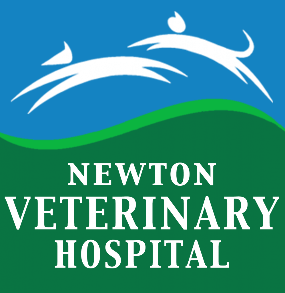 Newton logo